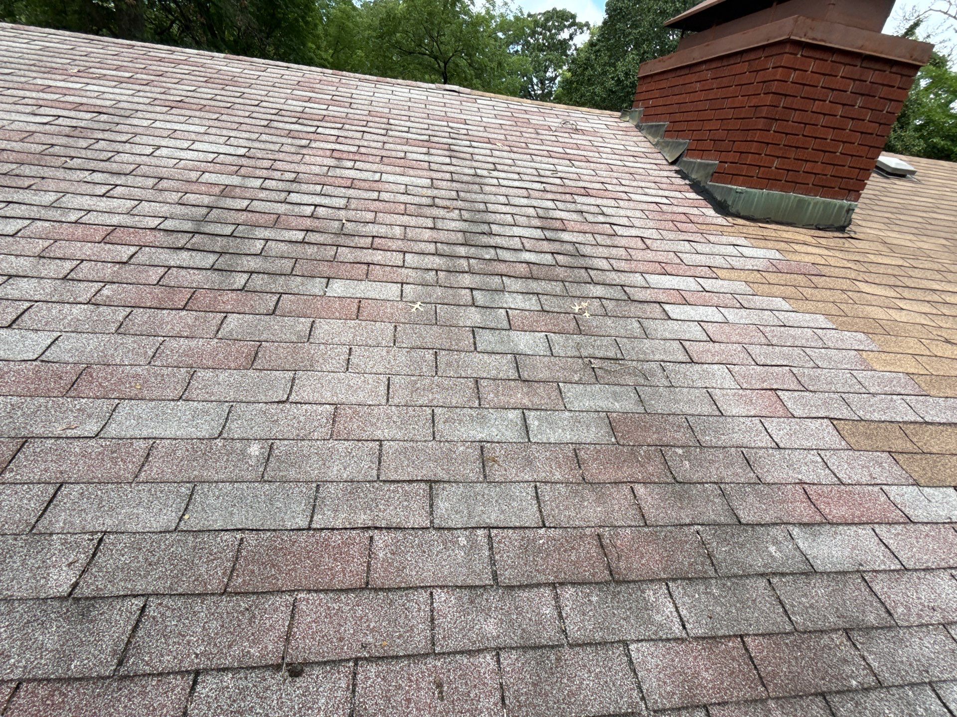 Residential Roofing Install - Atlas Pinnacle Pristine Shingles - Color Morning Harvest  by Titan Commercial & Residential Roofing 