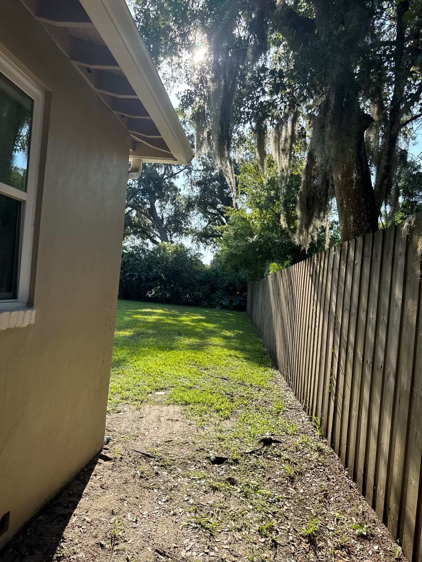 Residential | Tree Trimming  by ProGreen Services