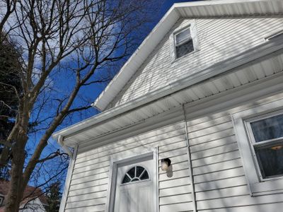 Tree Trimming using Tree Pruing