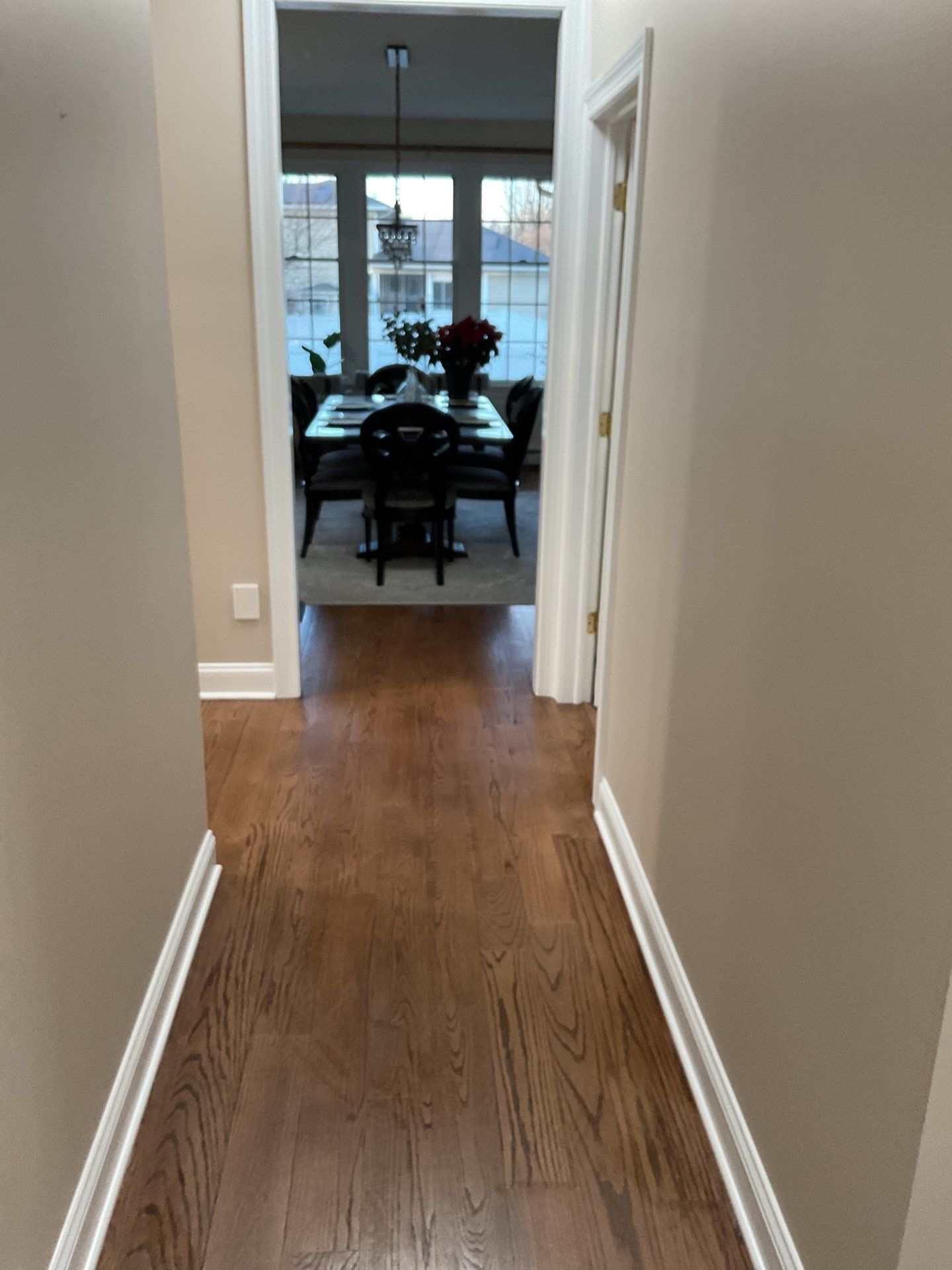 Multi Phase Whole Home Interior Transformation in Warrington by Groovy Hues