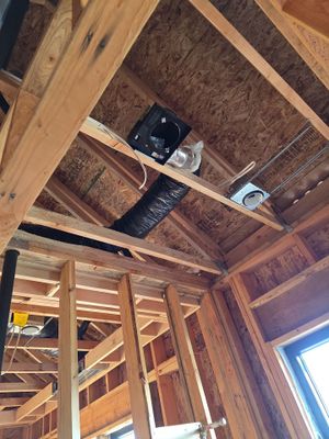 Project in Woodland