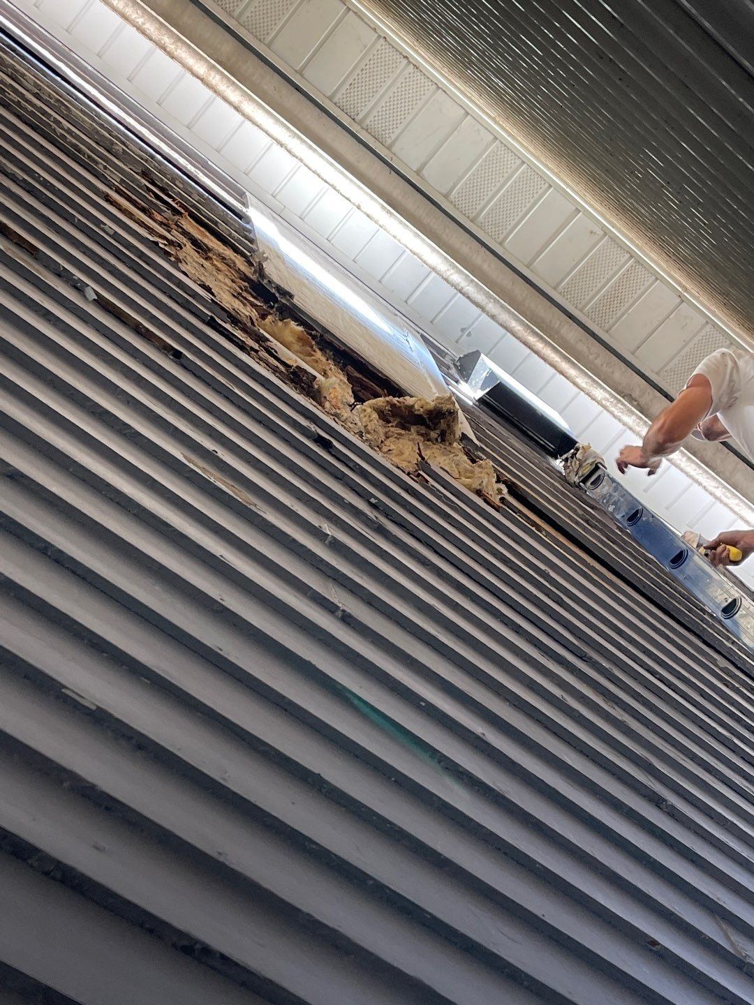 Megna Crew Showcase by Megna Painting