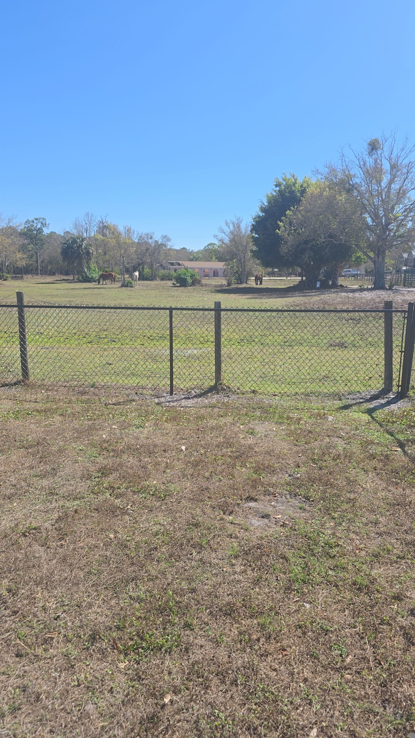 Chain Link Fence in Punta Gorda by True Fence LLC