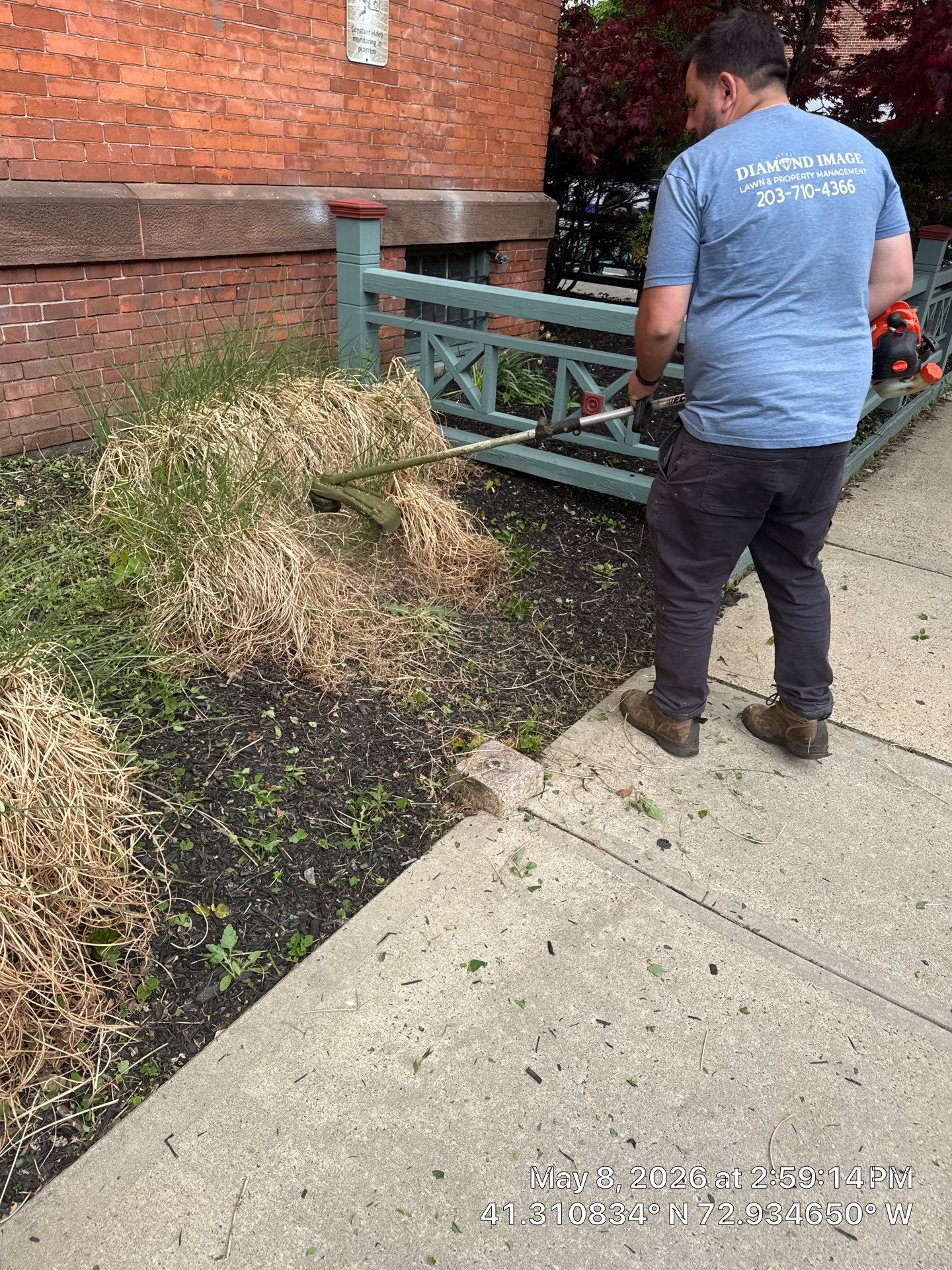 Commercial Property Cleanup and Landscape Maintenance in New Haven by Diamond Image LLC