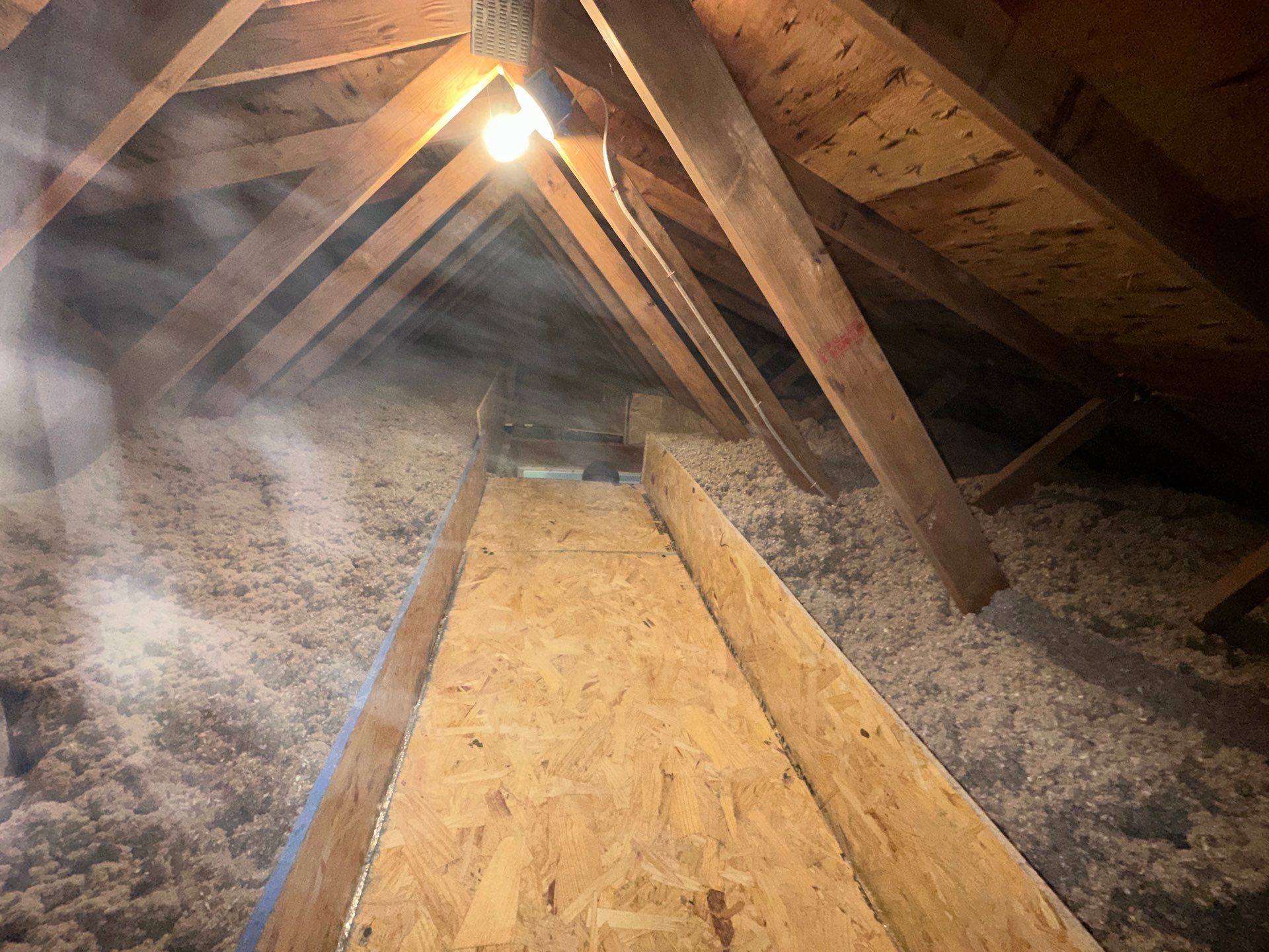 Addressing Attic Mold and Upgrading Insulation in Cranberry Township, PA 16066 by Home Environment Solutions