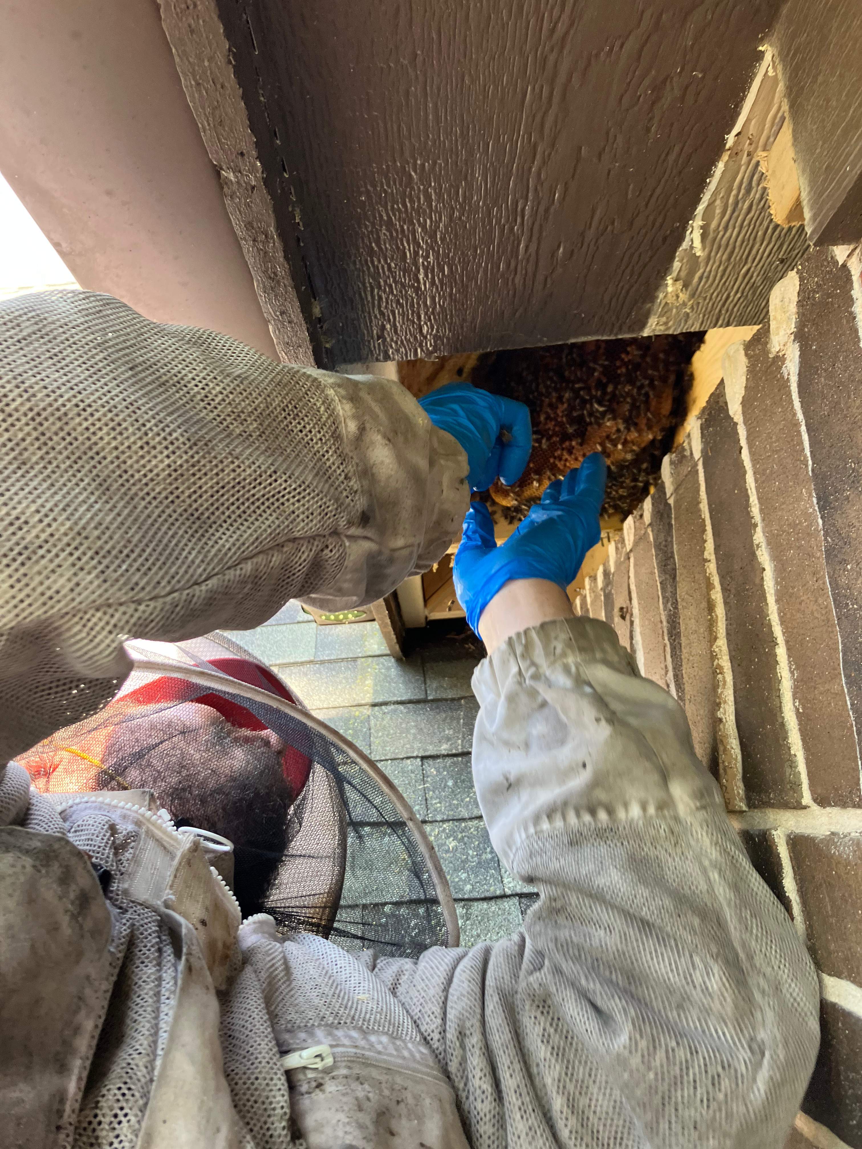 Happy Birthday! by Rockwall Honey Bee Company