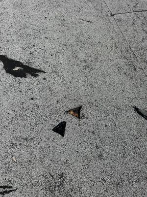 Project in Sacramento