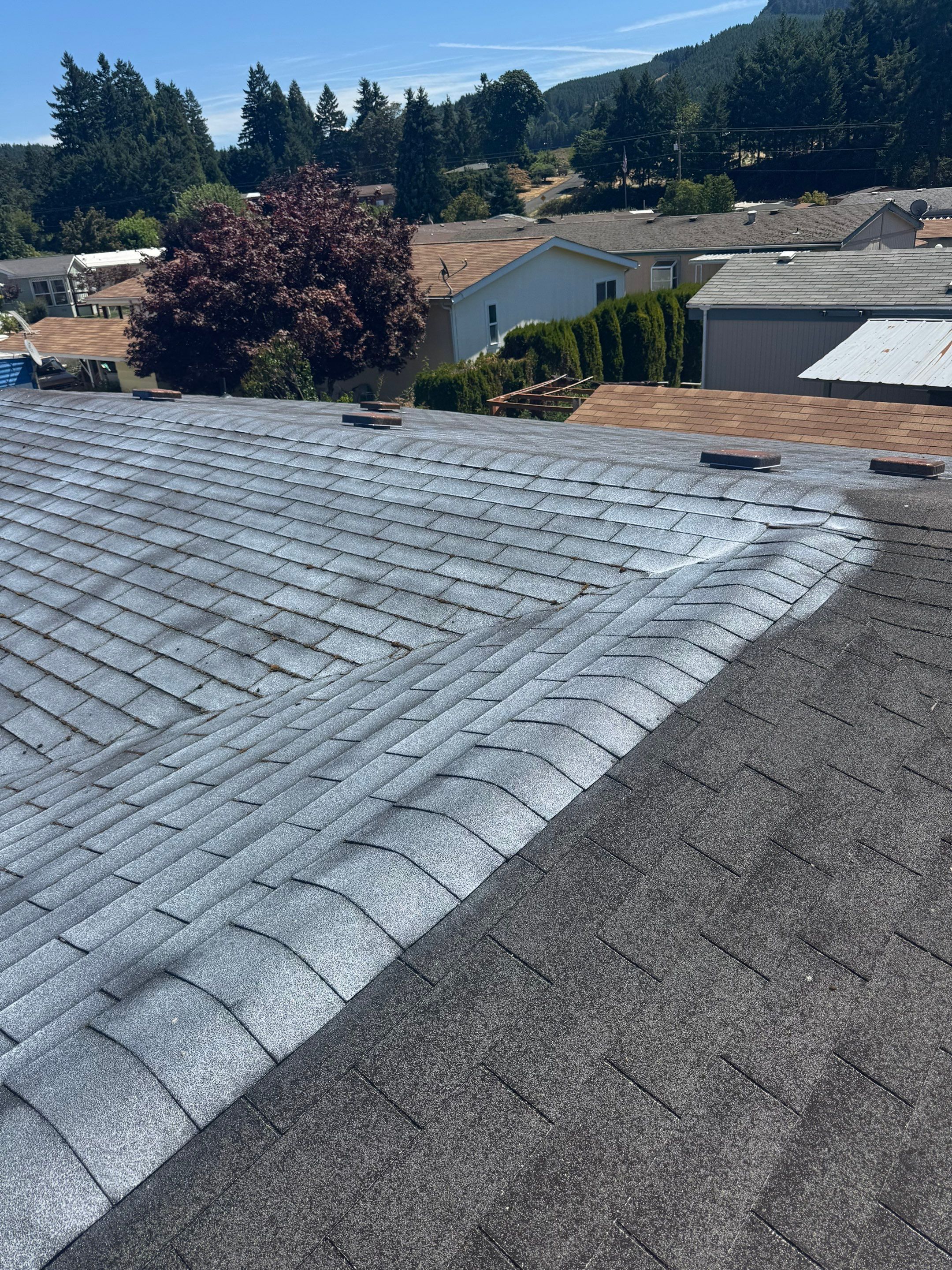 Project in Cottage Grove by Roof Maxx of Grants Pass