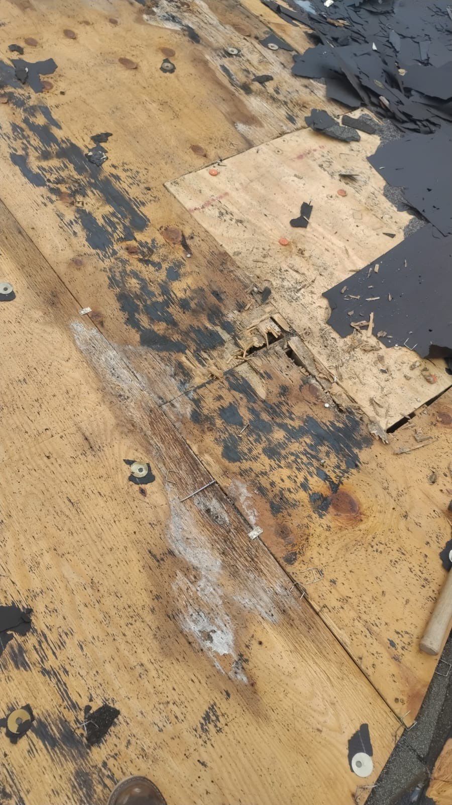 Project in Pflugerville by Serene Construction