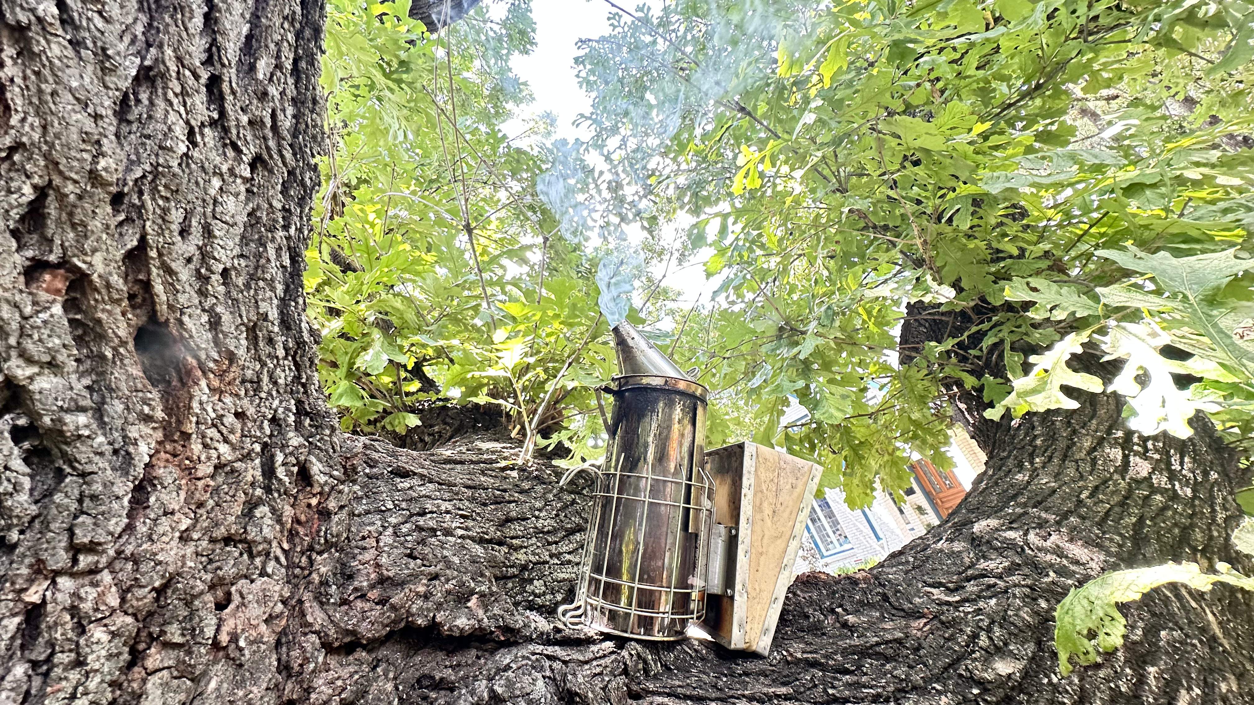 Tight Squeeze by Rockwall Honey Bee Company