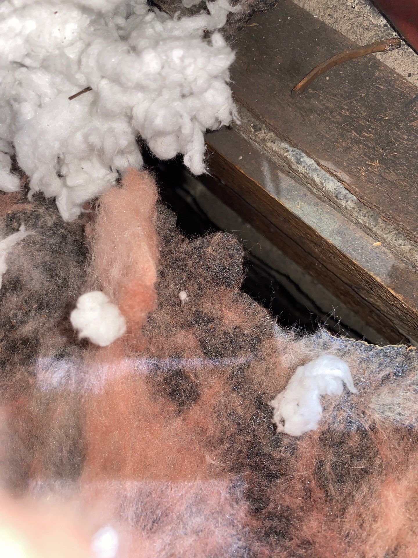 Attic sanitation in Pittsburgh, PA 15228 by Home Environment Solutions