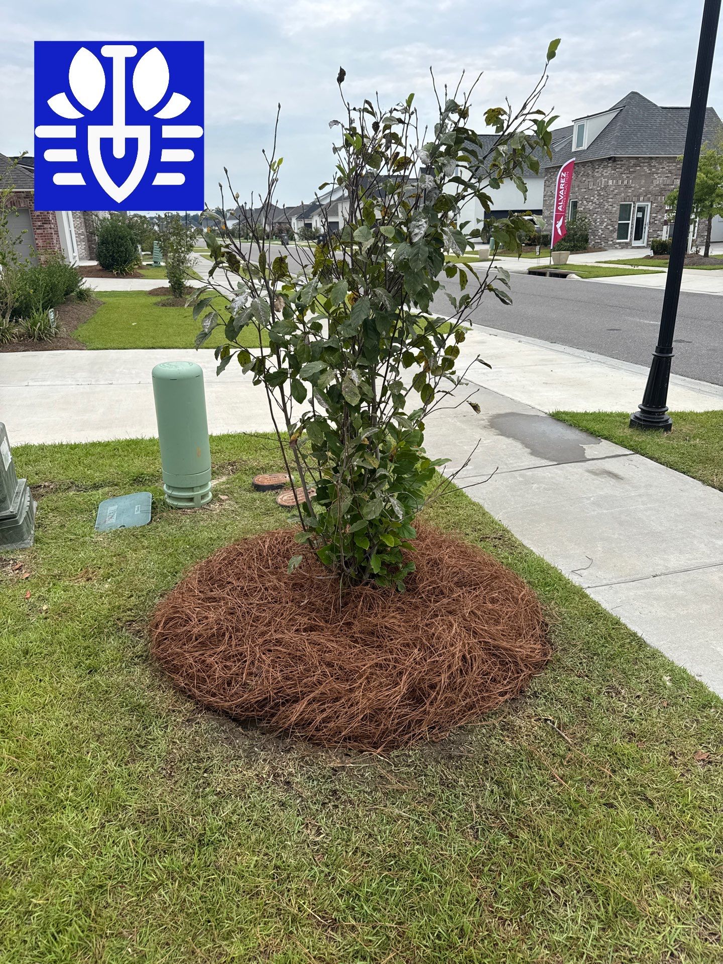 RESIDENTIAL LAWN MAINTENANCE & LANDSCAPE SERVICES by CutScape, LLC.