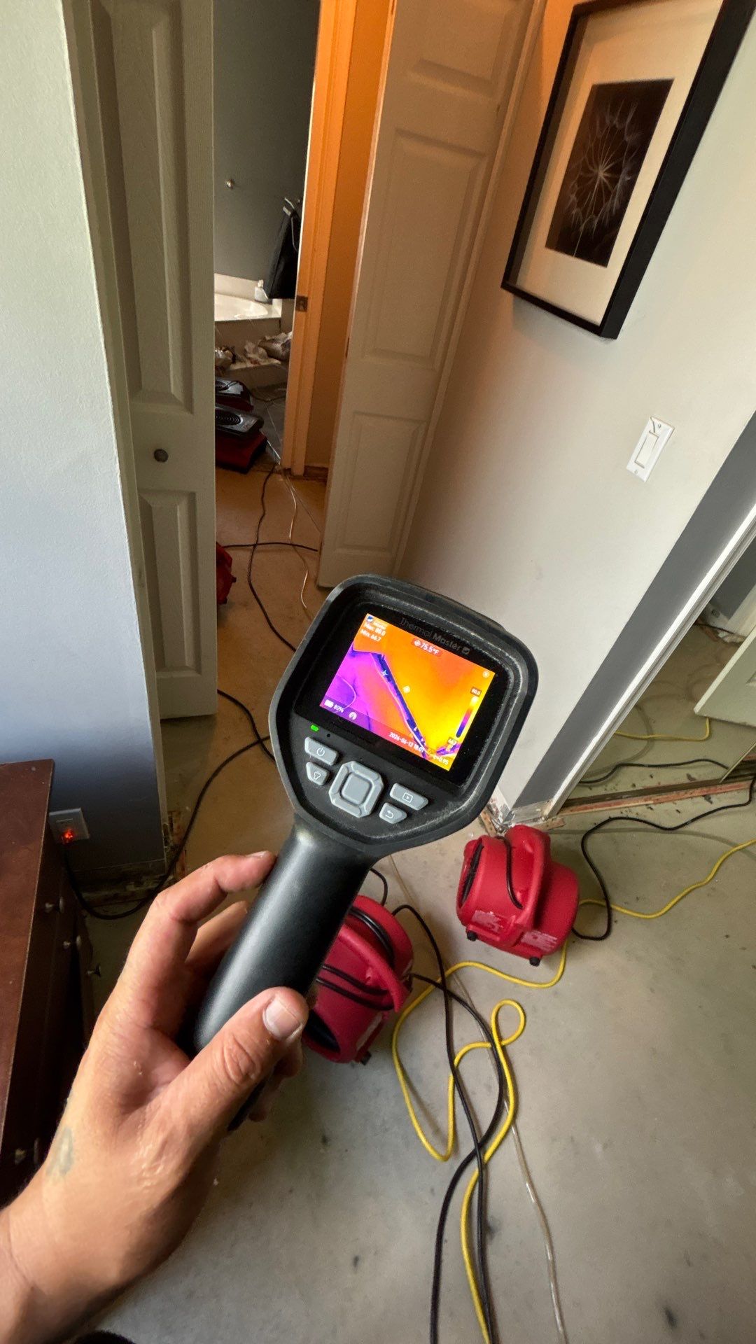 Wellington Water Damage Restoration with Thermal Imaging and Extraction by SuperClean 