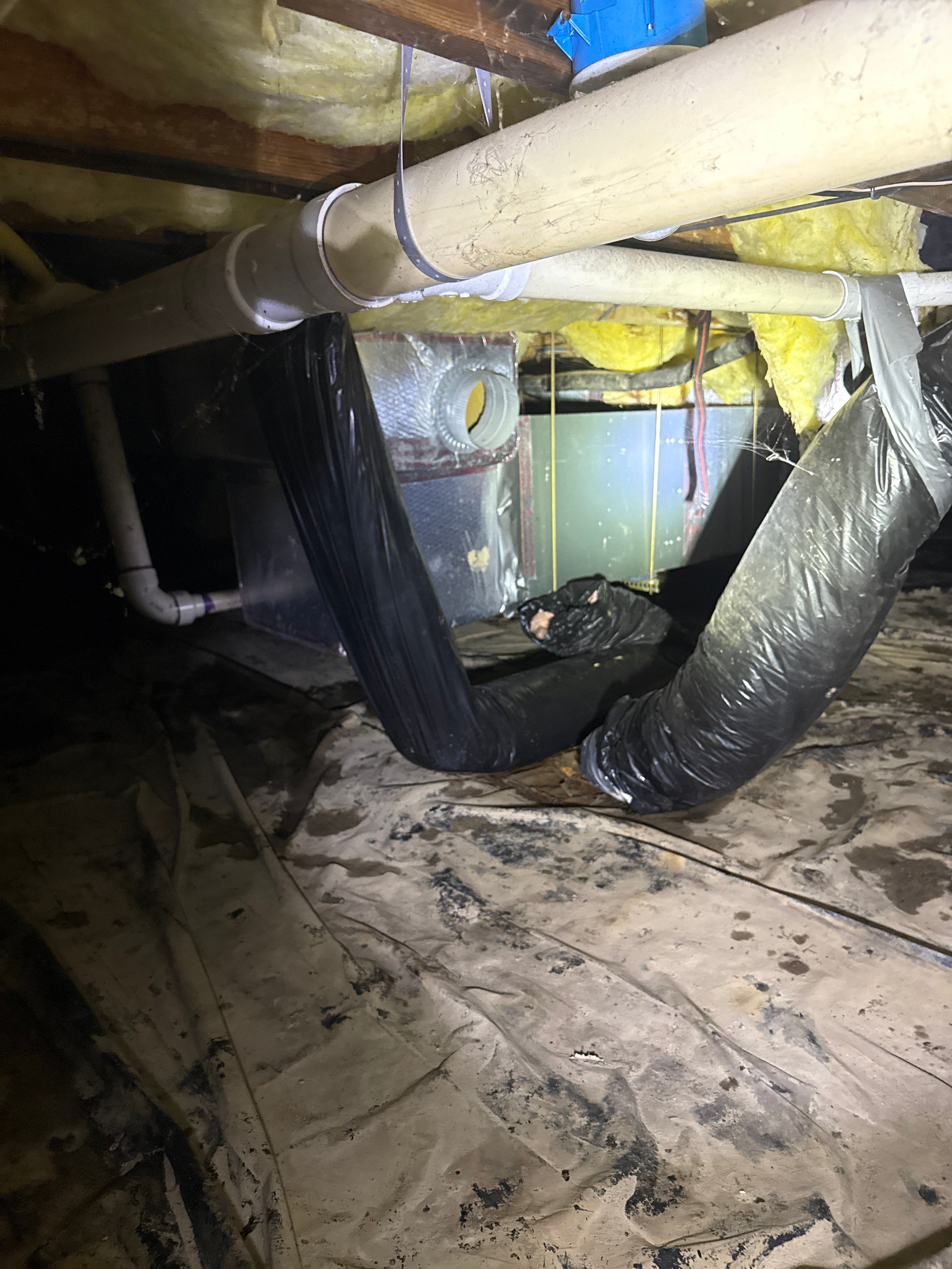 Water Damage& Mold Remediation Project-Dover, DE. by Healthy Home Solutions