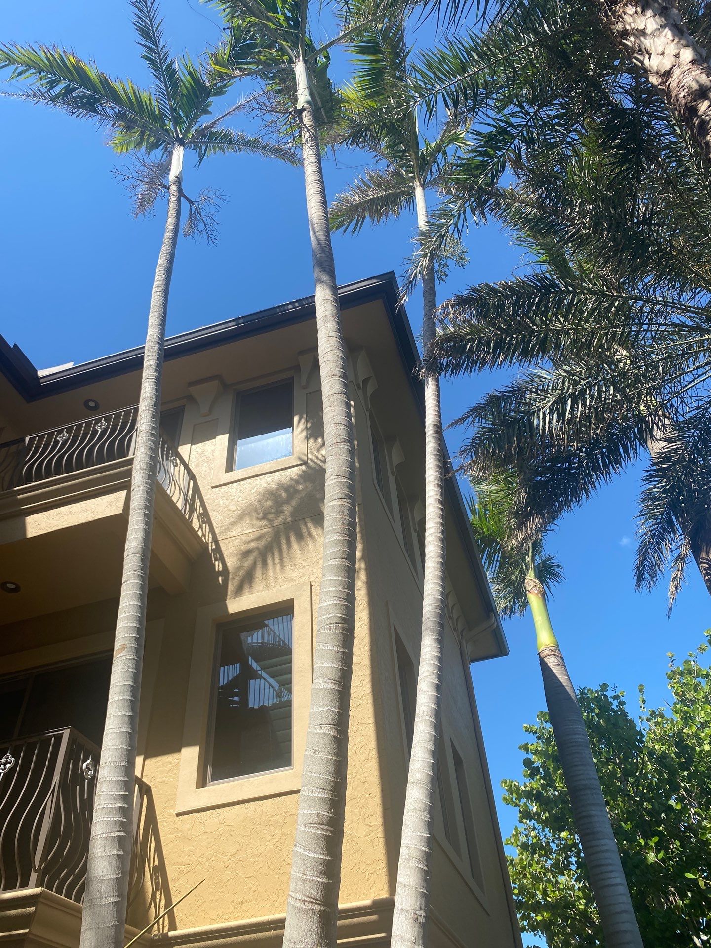 Bronze Gutters in Longboat Key FL by Gutter Professors