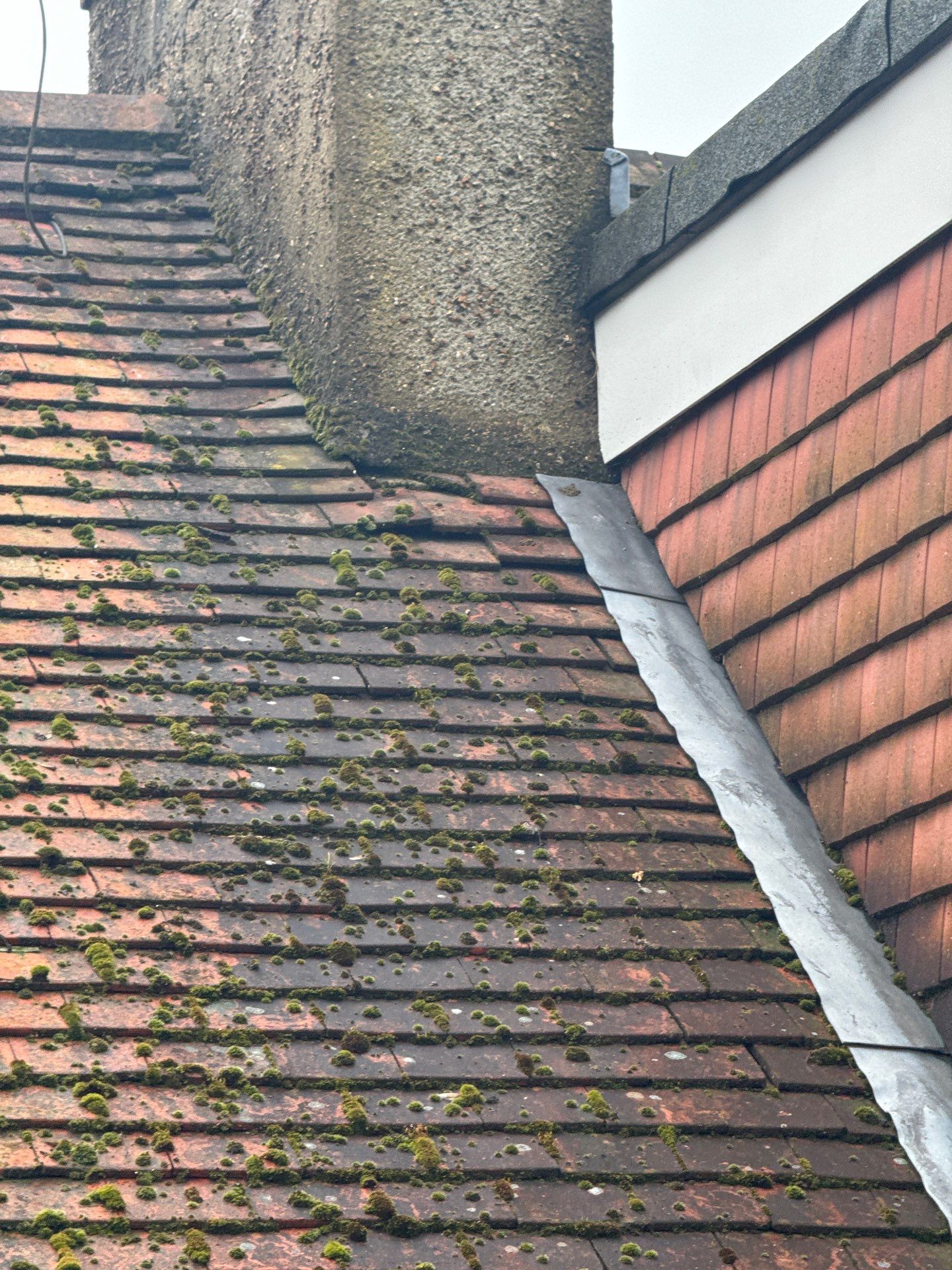Exterior Clean - Roof - Patio - Driveway using honda 21 ltr/min by Ges Exterior Cleaning ltd