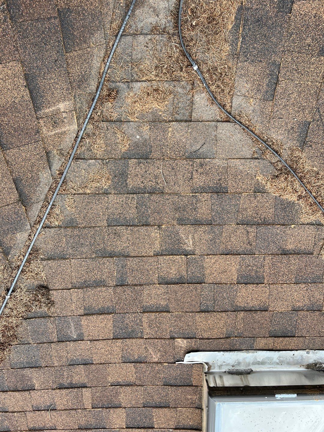 GAF Timberline HDZ - Hunter Green by Montana Roofing Solutions