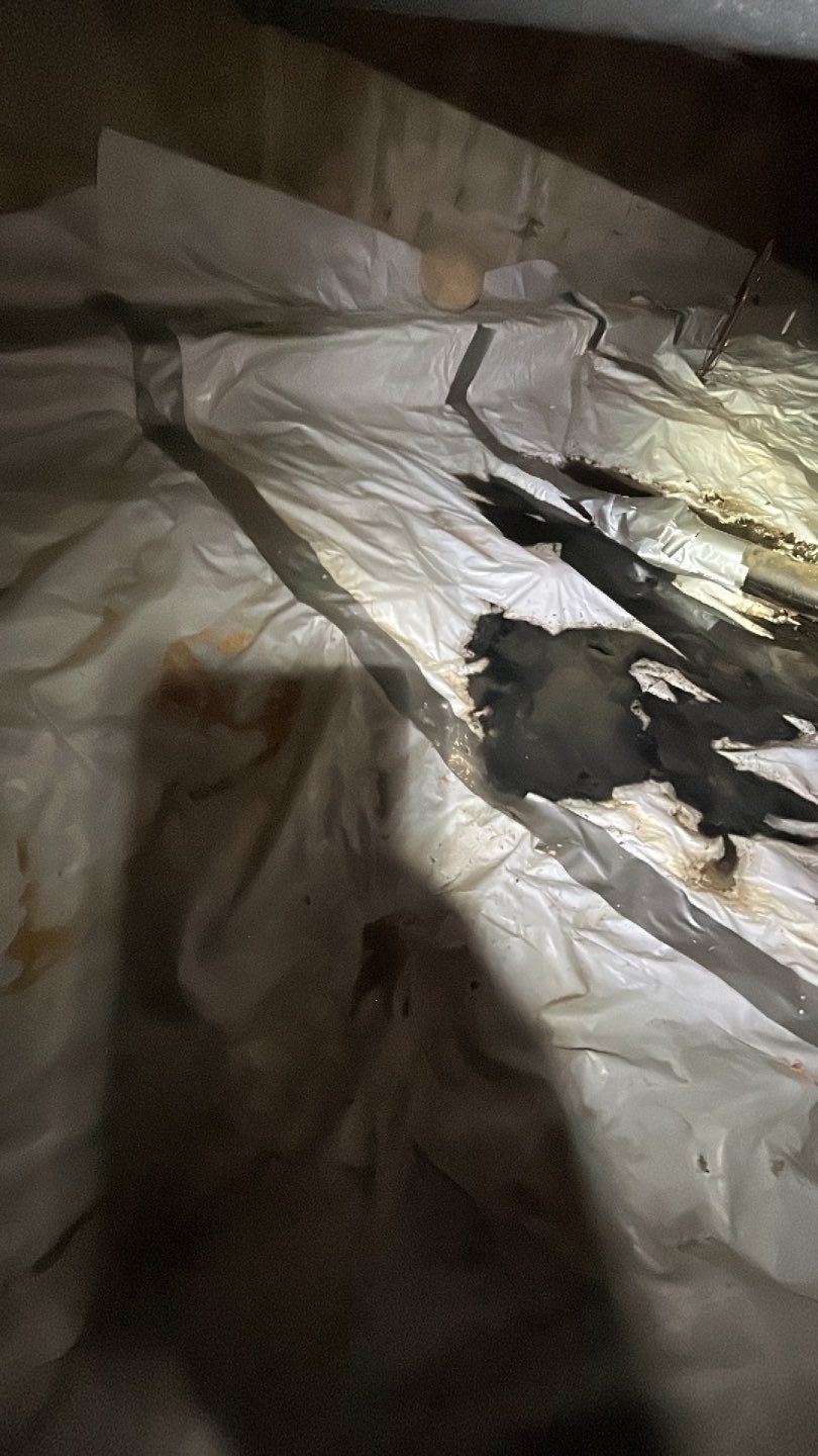 Sewage Backup by Accountable Home Services