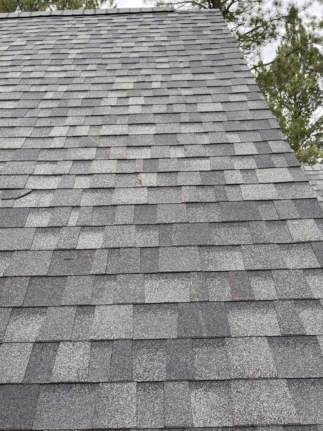 Green Snap Lock Standing Seam  by Montana Roofing Solutions