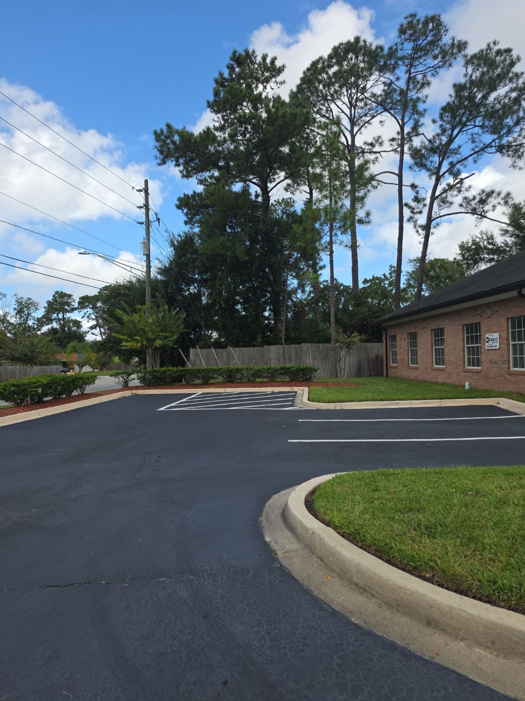 Commercial Property | Tree Removal & Trimming by ProGreen Services
