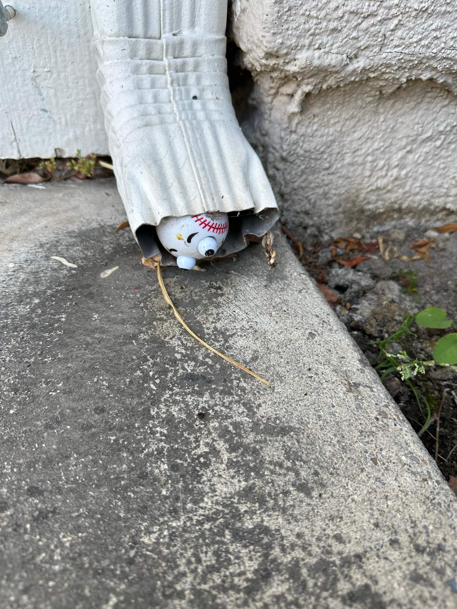 Lake Forest HOA Gutter Cleaning by Property Cleaning Experts, LLC