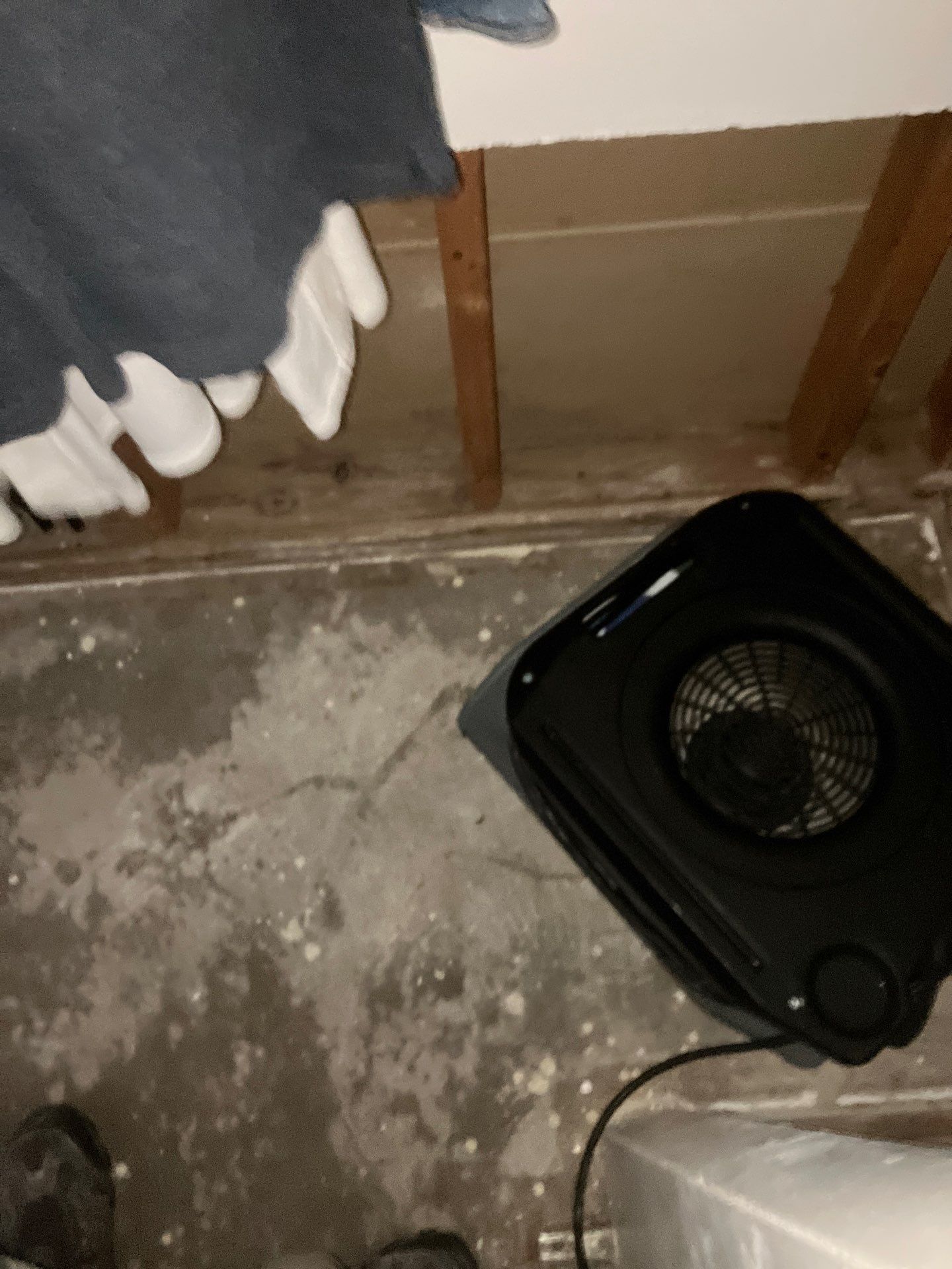 St. Pete Water Damage Mitigation by Ampm Restoration Services