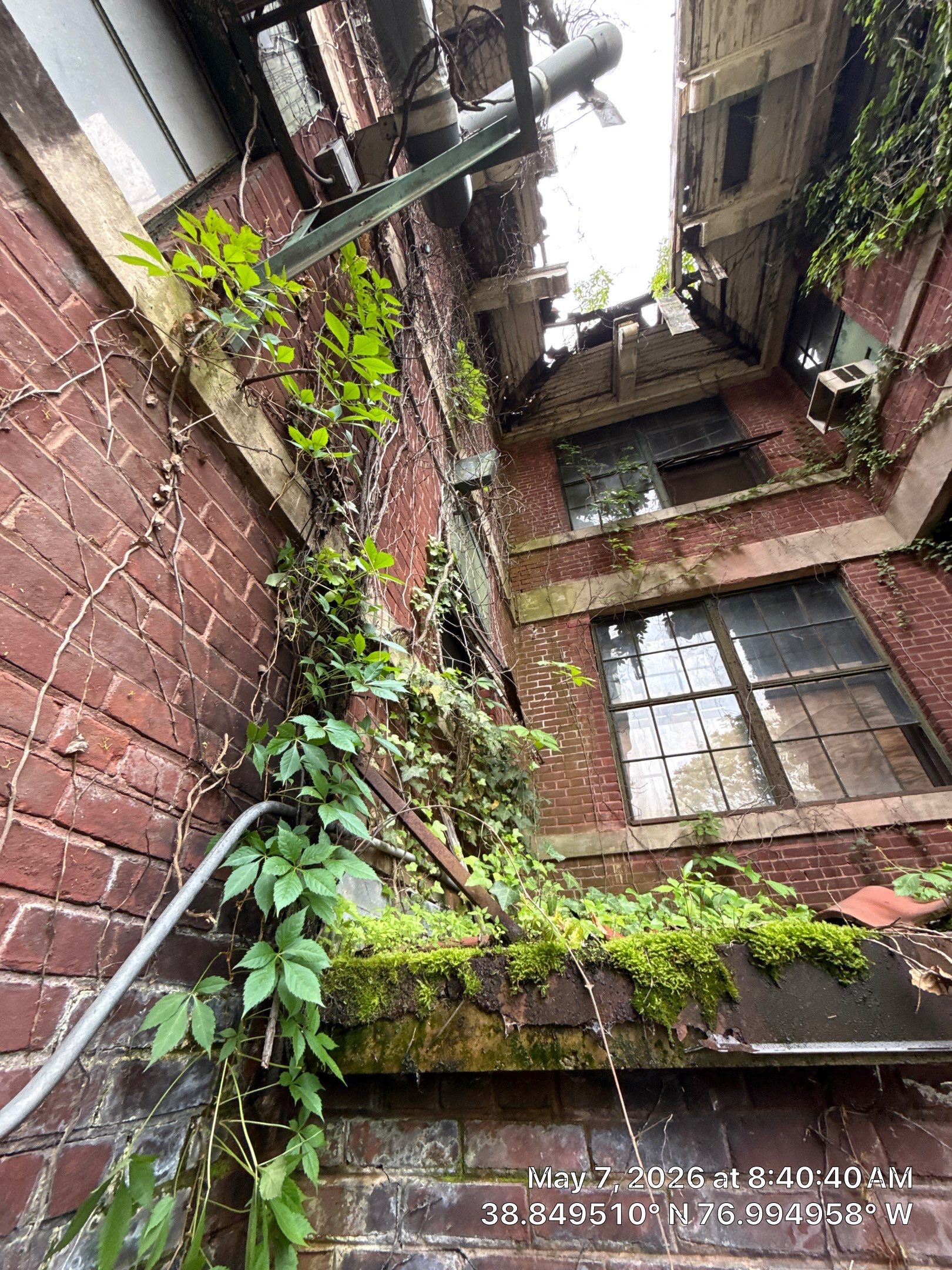 Comprehensive Structural Assessment of the Historic Blackburn Laboratory by Finkle Preservation & Construction