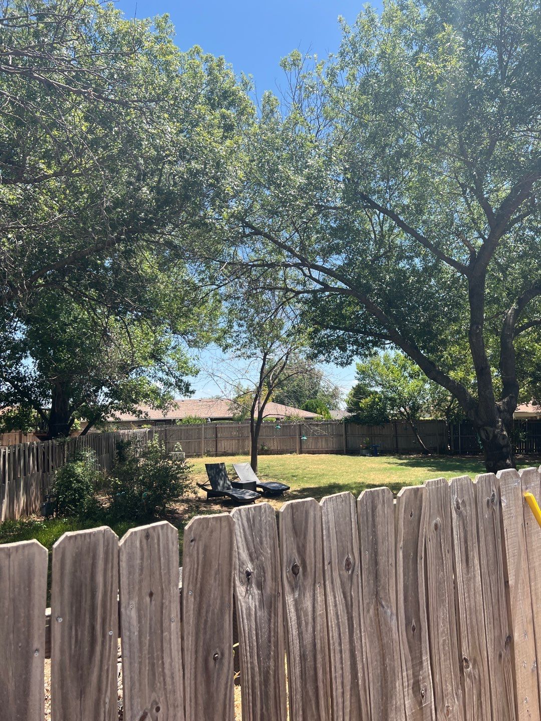 Tree Removals by Clays Services Inc