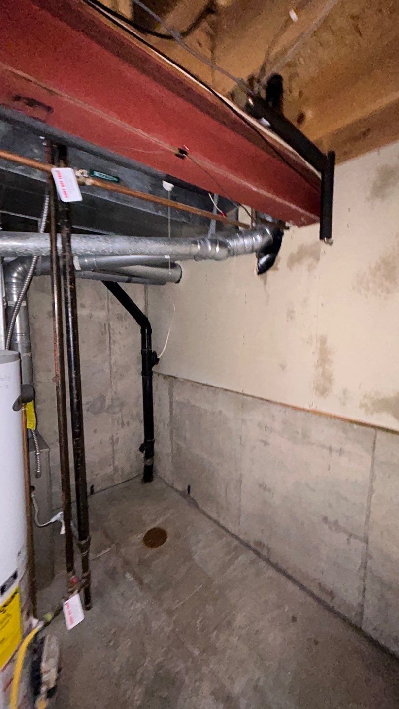 Mold Damage by Accountable Home Services