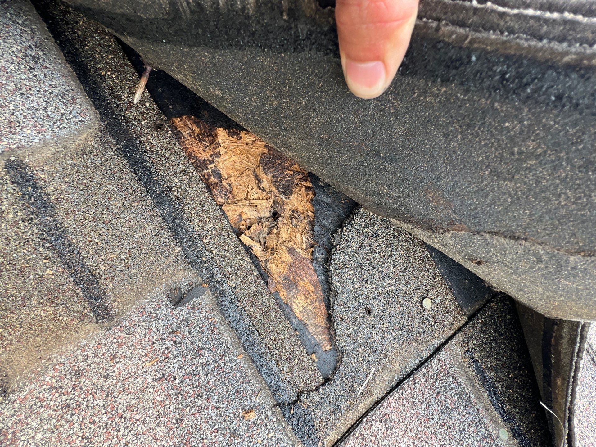 Roof Repair Spring by Roof Repair Company