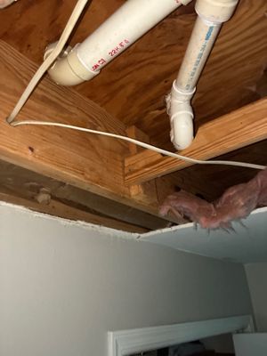 Burst Pipe Water Damage — Pensacola, FL