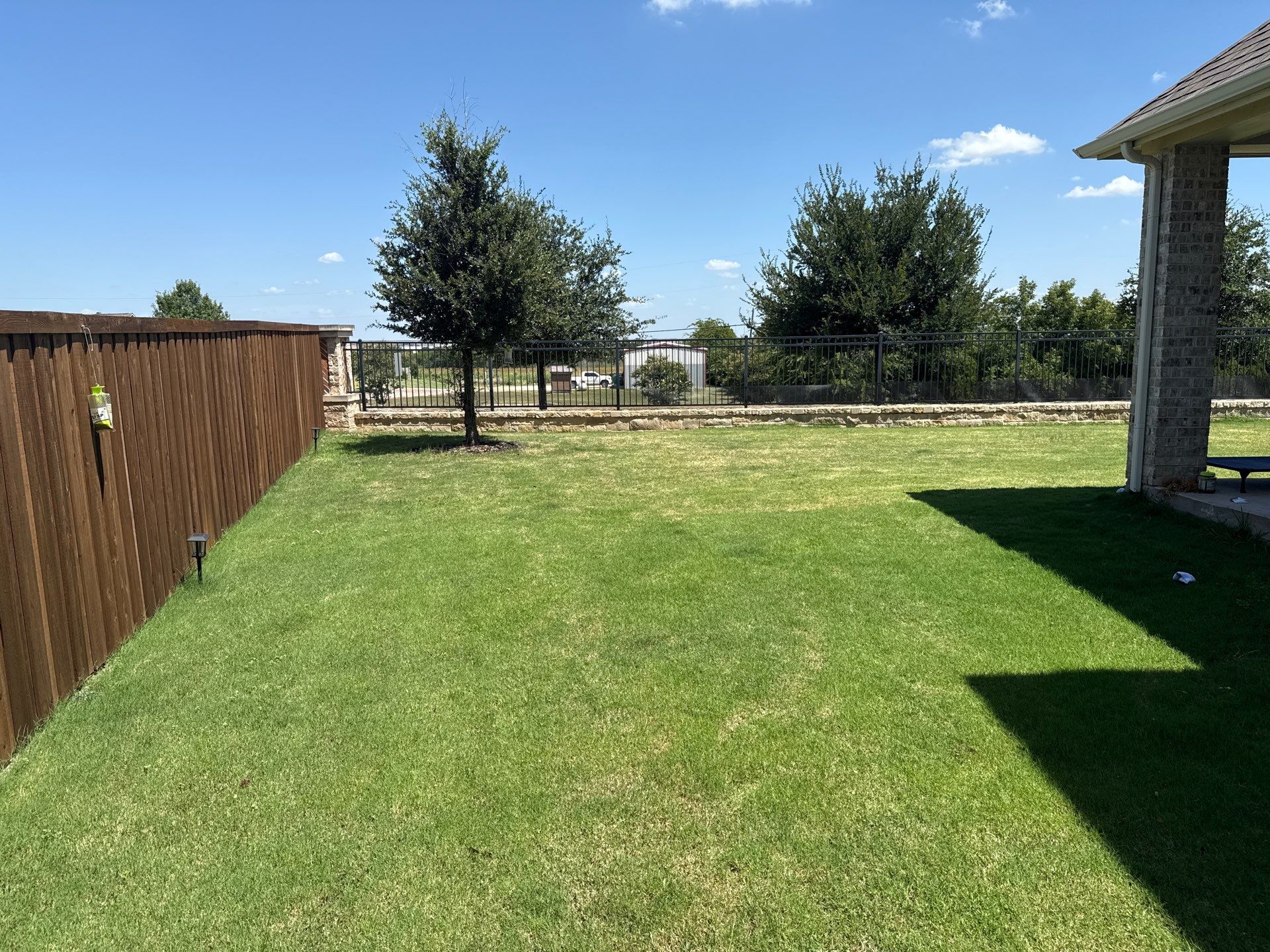 Project in Prosper by Turf Concepts
