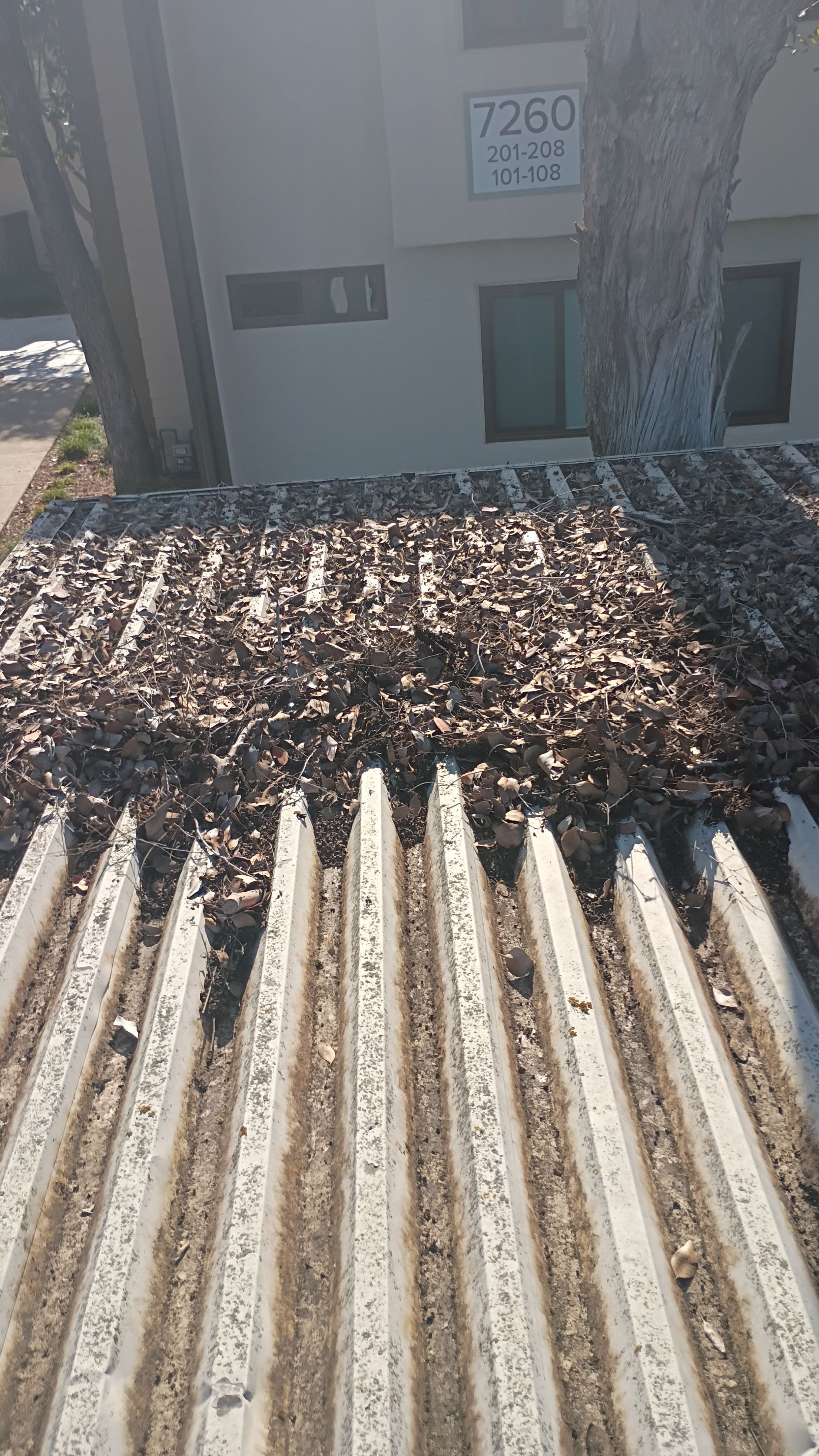 HOA gutter cleaning before photo