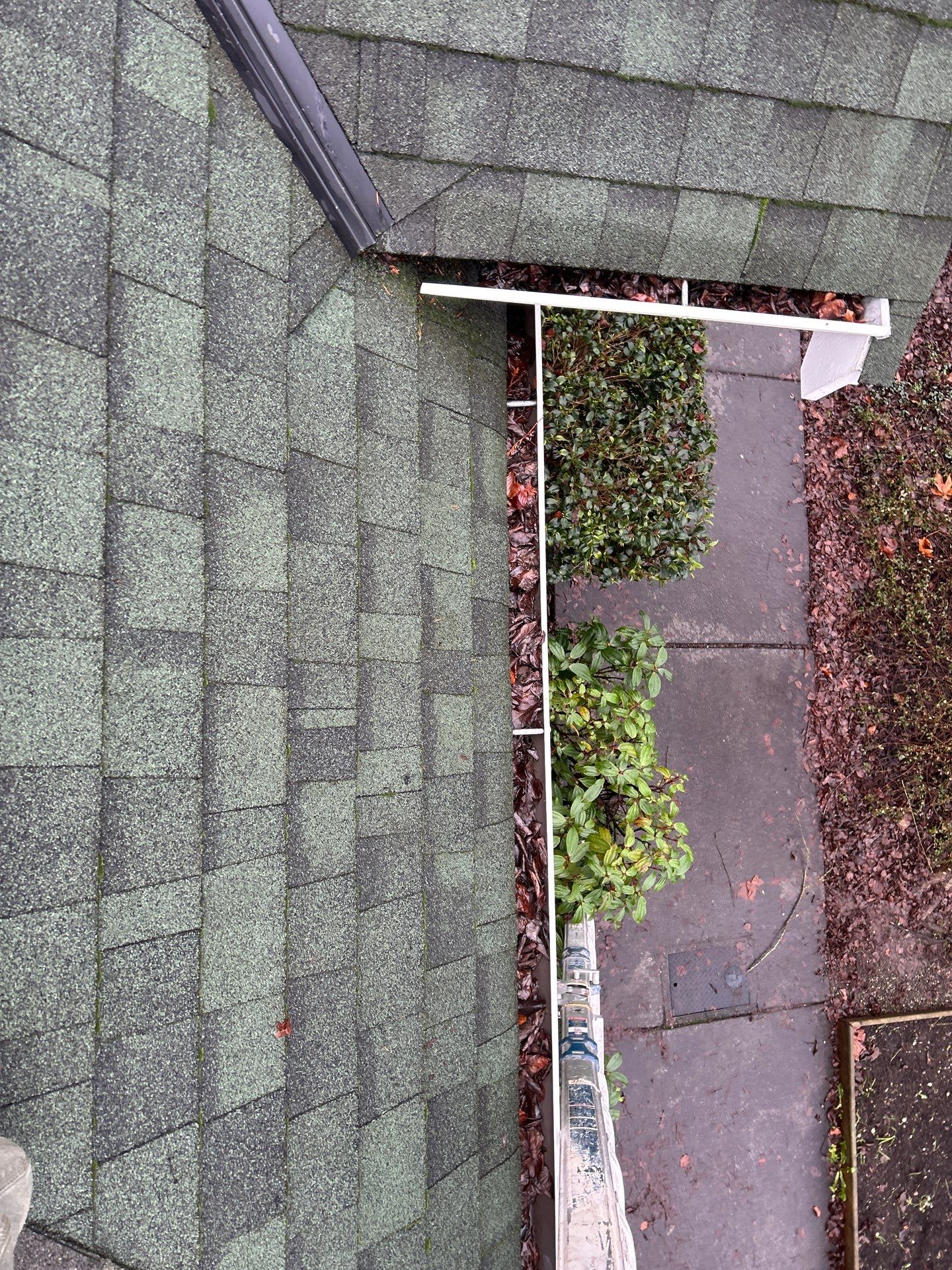 Project in Snohomish by Peaks and Valleys Construction