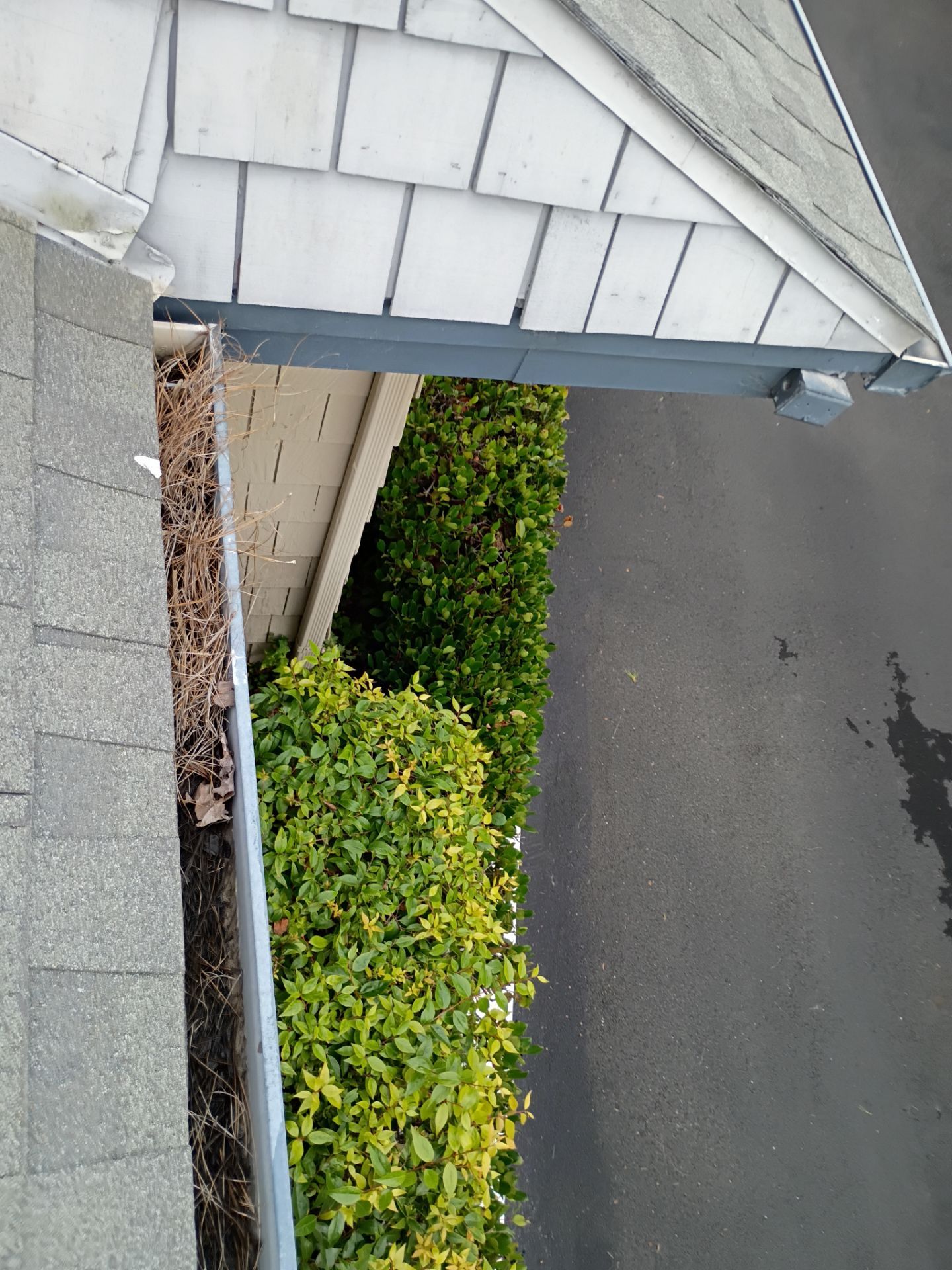 HOA gutter cleaning before