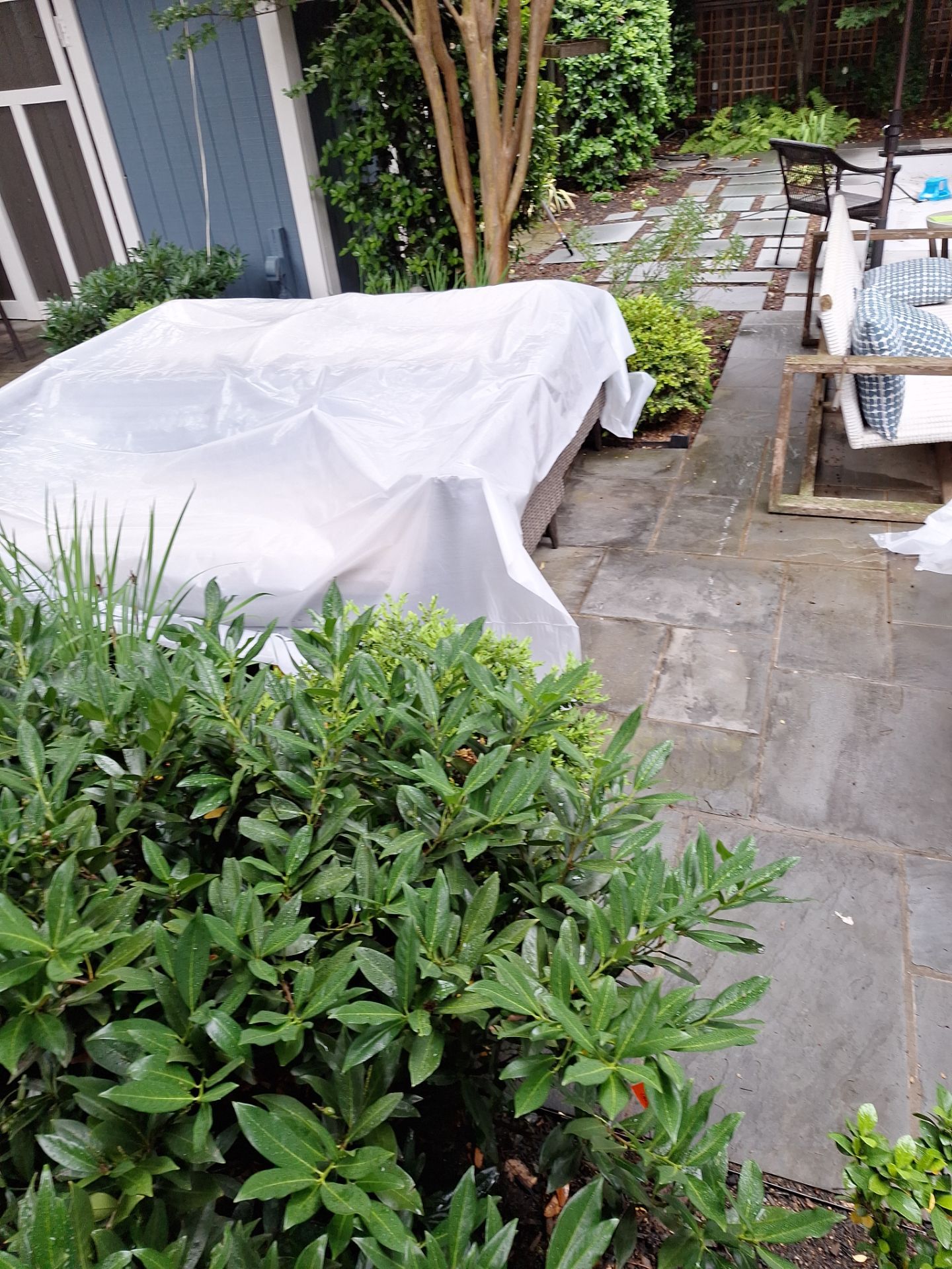 Exterior House Painting in Arlington, VA by My Painter 