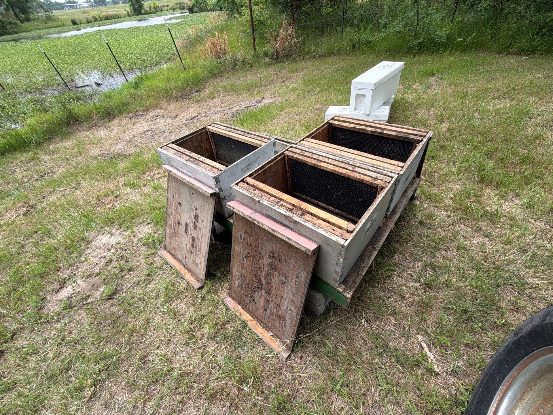 Project in Terrell, TX by Rockwall Honey Bee Company