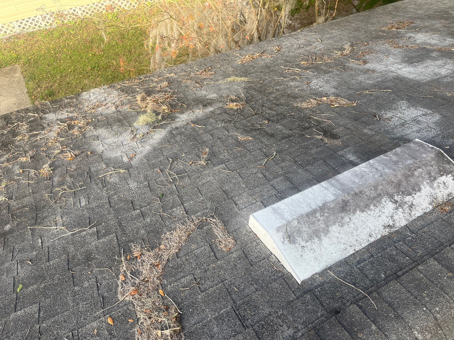 Shingle -> Shingle by Prime Roofing
