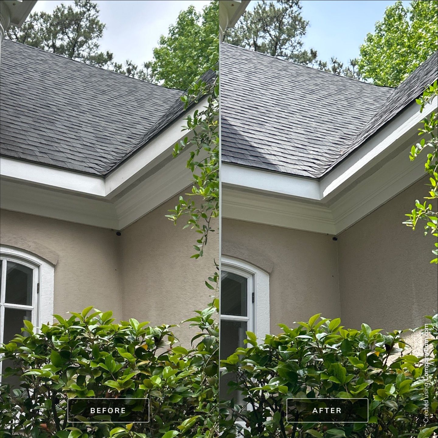 House Washing in Wilmington by Shark Power Washing