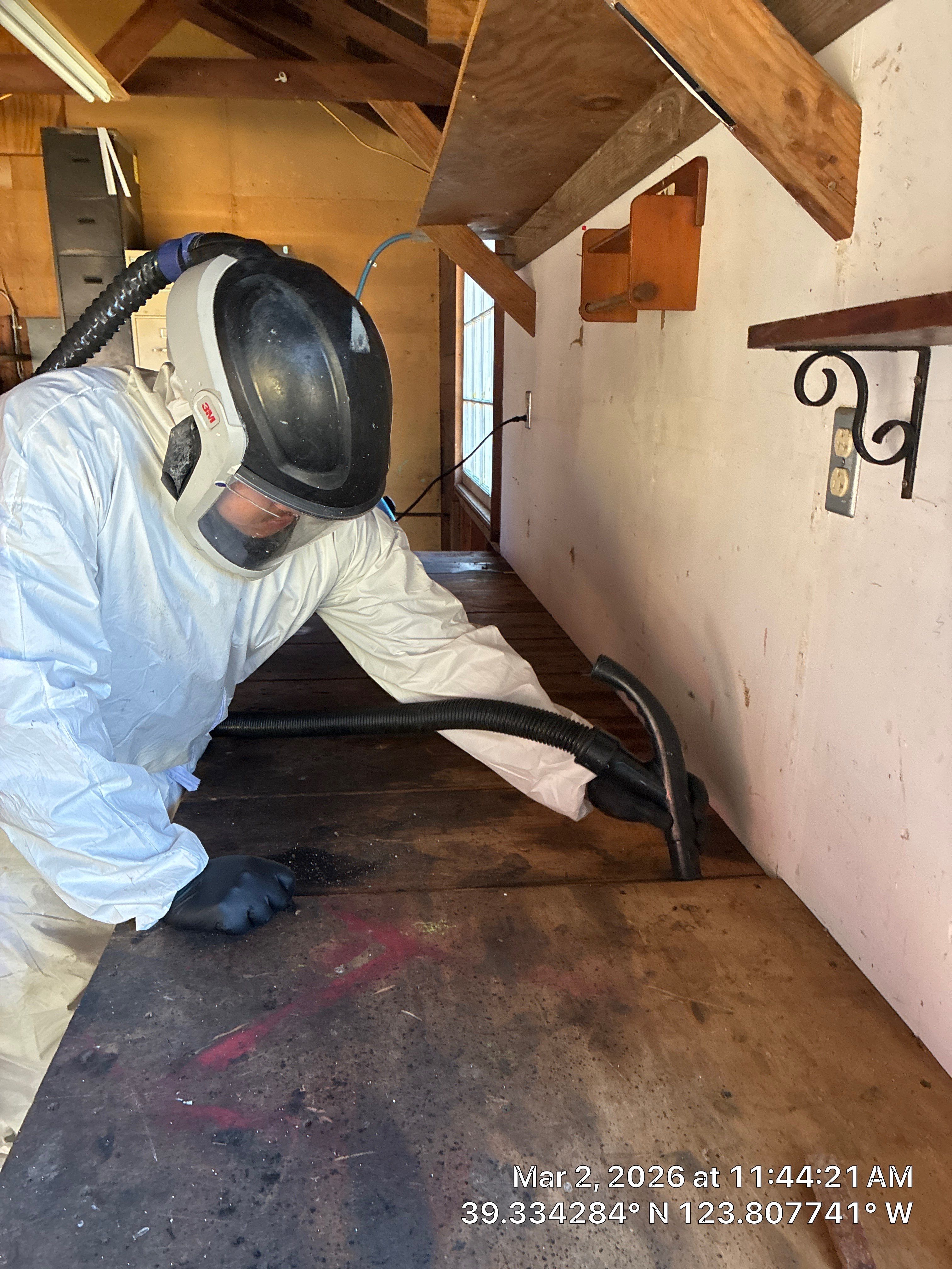 Project in Mendocino by 911 Hazmat Cleanup 