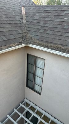 Lake Forest Gutter Cleaning - Pine Needles Cleared after 10 plus years!