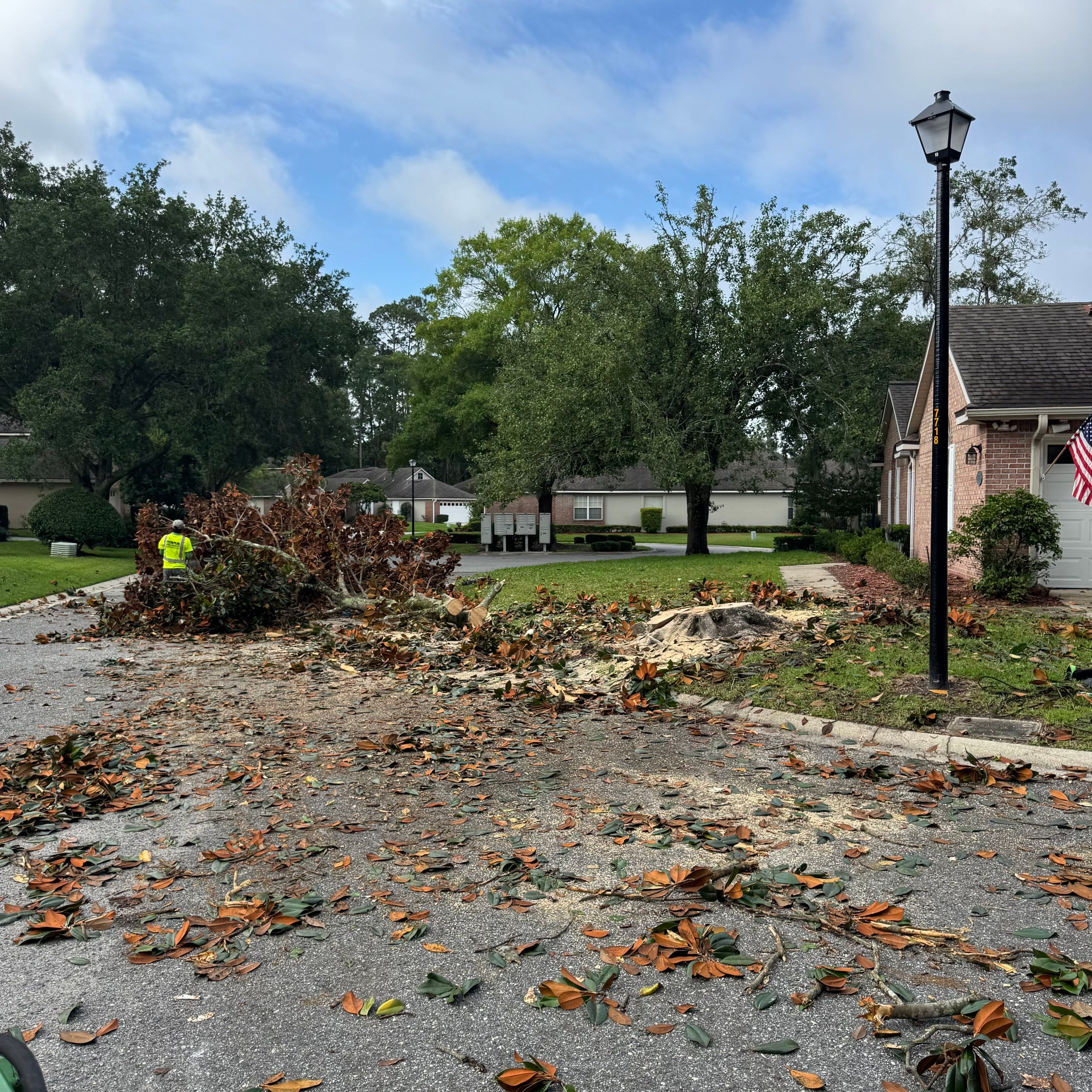 Deerwood Resident | Tree Removal by ProGreen Services