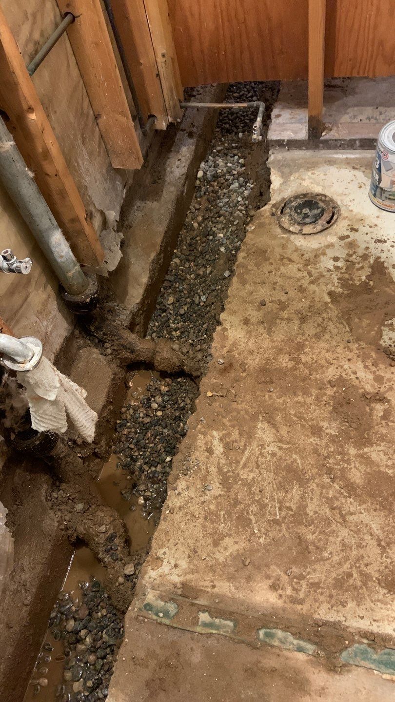 Upgrading Nicole & Gary’s 1960s Beaver System in St. Paul by Waterproofing Northeast