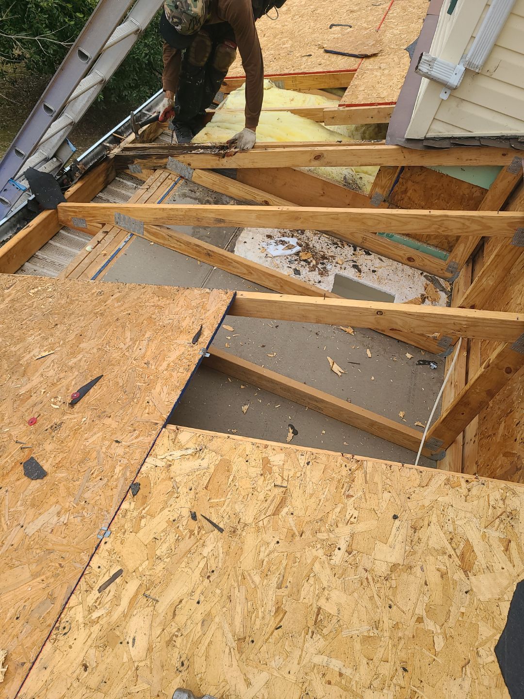 Falls Church: Residential Roof Replacement with CertainTeed Landmark Pro in Max Def Colonial Slate by RM Banning, Inc.