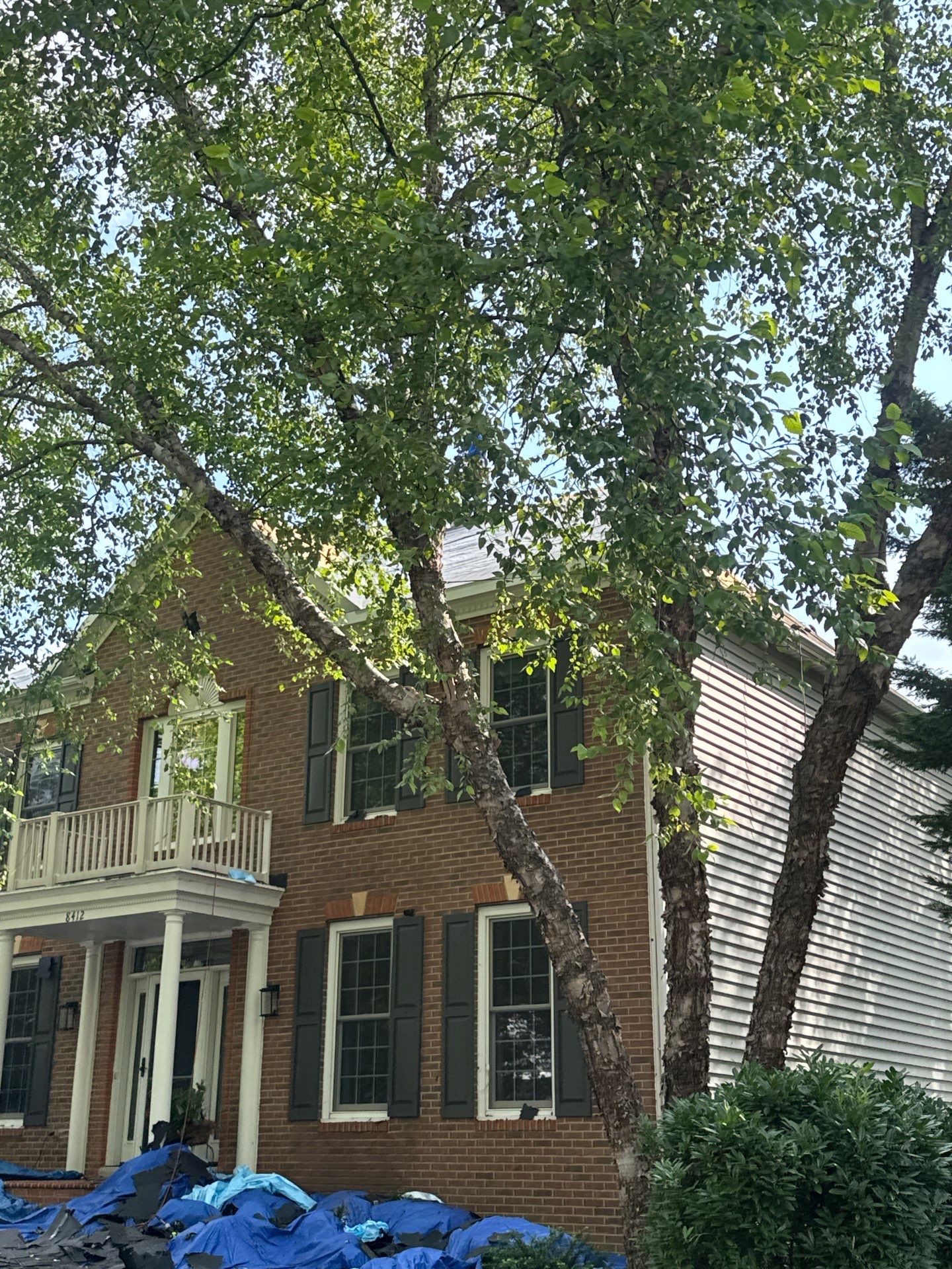 New Shingle Roof & New Gutters and downspouts with covers by Alpha Design Services