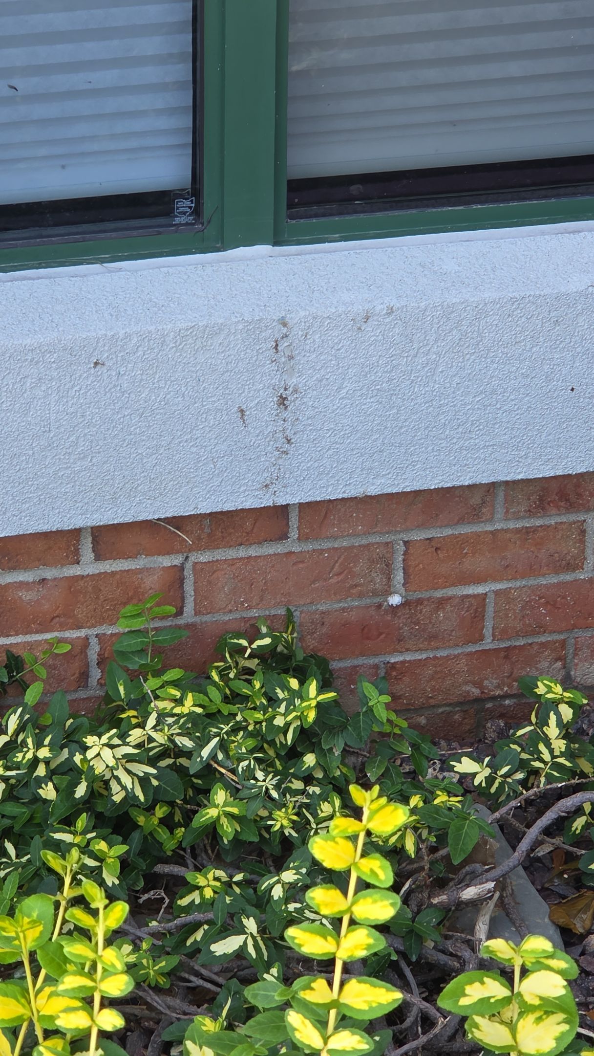 FNB Exterior Restoration & Painting by Dillinger Painting LLC
