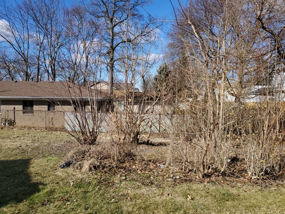 Tree Removal using Tree Removal by Mike Jones & Sons Tree Service LLC 