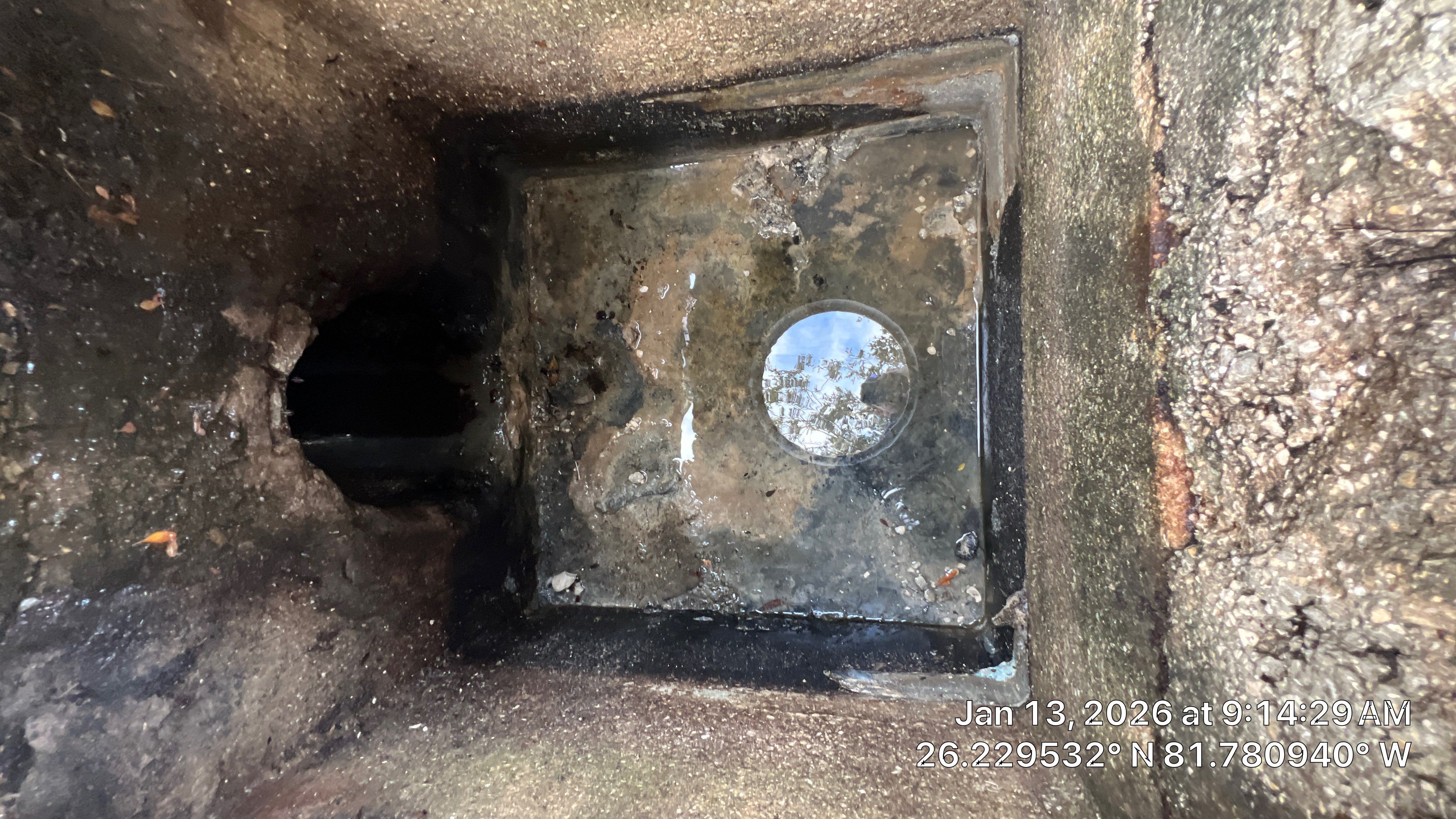 Naples Community Root Intrusion Investigation with P.R.S. by Don Mar, Inc. Storm Water Solutions