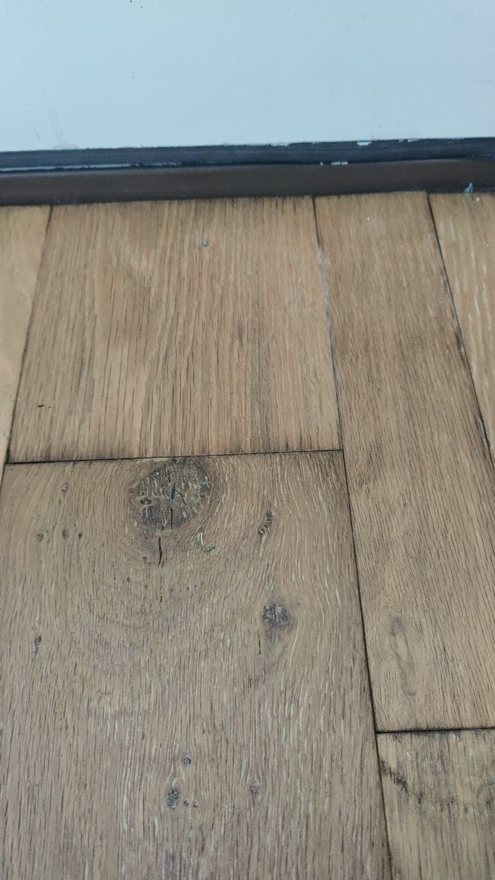 Mold Remediation  by Accountable Home Services