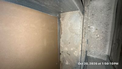 Flood Damage Cleanup — Cape Coral, FL